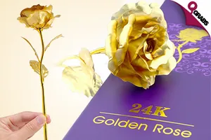 huge_700x420__2883.png